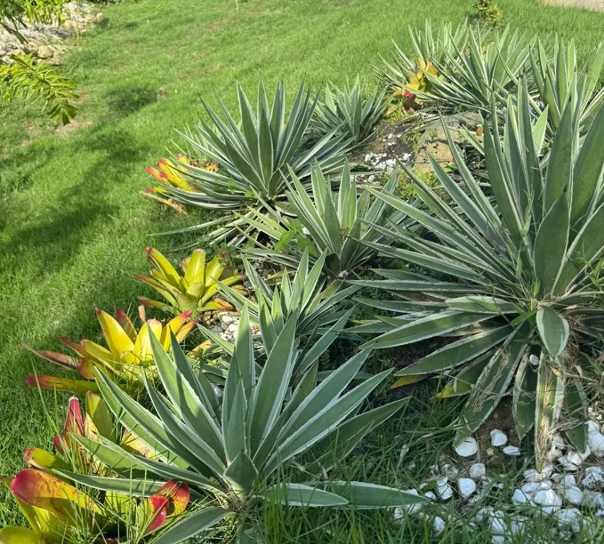 Villas Las Indigenas Imbert 0*,  جمهورية الدومينيكان